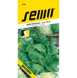 SEMO Salát ledový - Maximo polní velký…