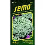 SEMO Tařice přímořská Corbielle…