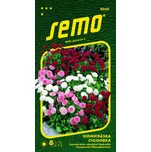 SEMO Sedmikráska chudobka směs…