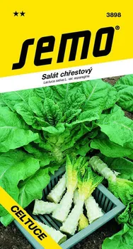 Semeno SEMO Salát chřestový Celtuce 0,4 g 