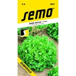 SEMO Salát kadeřavý k řezu Dubagold 0,6…