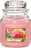 Yankee Candle Sun-Drenched Apricot Rose, 411 g