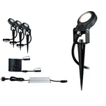 Paulmann Plug&Shine Sting P 93696