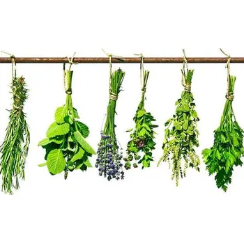 DIMEX MS-3-0187 225 x 250 cm, bylinky