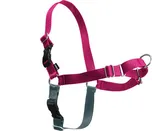 PetSafe EasyWalk malinový