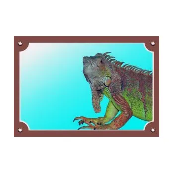 Značení Tabulka Leguán