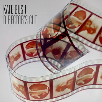 Zahraniční hudba Director’s Cut - Kate Bush [2LP]