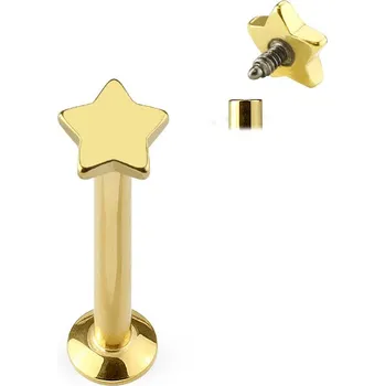 Piercing Šperky4U Piercing do brady - labreta zlacená - LB1036GD-1208