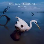 Cd Box 2 - Kate Bush [11CD]
