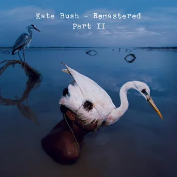 Zahraniční hudba Cd Box 2 - Kate Bush [11CD]