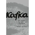 Kafka: In Light of the Accident -…