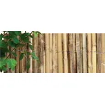 Nohel Garden rohož kapradí bílé 1,5 x 3…