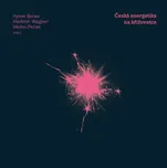 Česká energetika na křižovatce - Hynek Beran, Vladimír Wagner, Václav Pačes