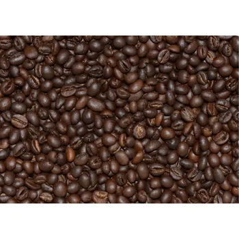 Káva KAFEBAK s.r.o. INDIA KAAPI ROYALE A SCREEN 17 UP gramáž: 100 g, typ: mletá aeropress