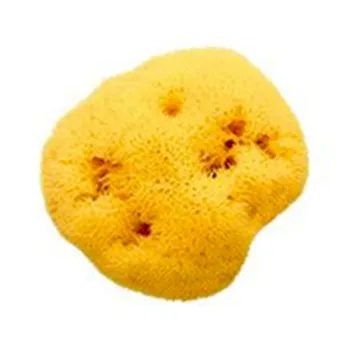Ok Baby Honeycomb 14