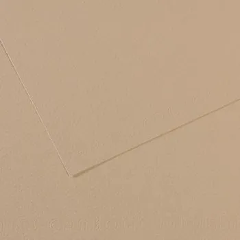 Výtvarný papír Canson Pastelový papír 160g - č.343 Šedá světlá Velikost: A4