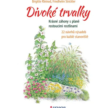 Divoké trvalky - Brigitte Kleinod,…