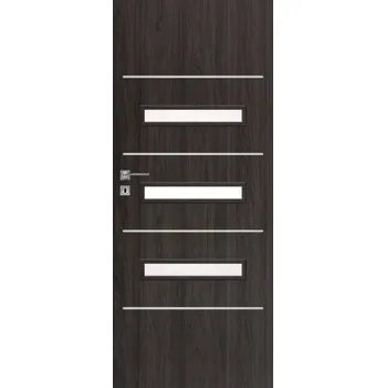 Interiérové dveře DRE interiérové dveře DRE GALERIA ALU 24