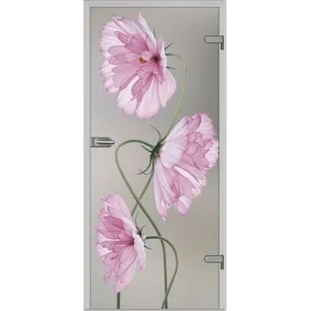 DRE Skleněné dveře DRE GRACCA 11