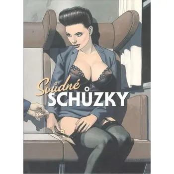 Komiks pro dospělé Svůdné schůzky - kolektiv autorů