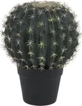 Europalms Barrel Cactus 34 cm