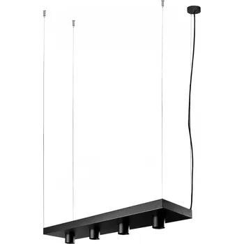 Nowodvorski Plant 9381