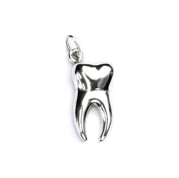 Přívěsek Stříbrný přívěsek, zub, přívěsek ze stříbra, P 427