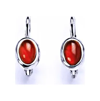 Náušnice Přírodní karneol, náušnice stříbrné na patent 6x4, šperk NK 1353