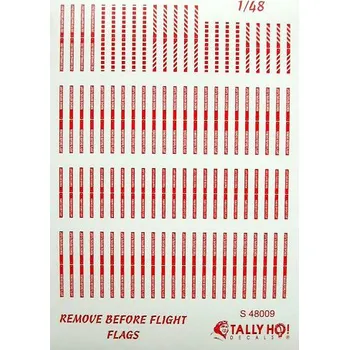 Plastikový model 1/48 Remove Before Flight (decals)
