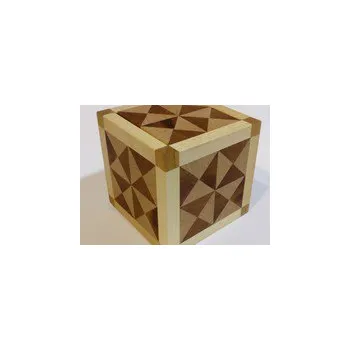 Hlavolam Hlavolam Special box 16TR - lid