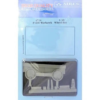 Plastikový model 1/48 P-40B wheel bay (AIRF)