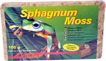 Podestýlka pro terarijní zvíře Lucky Reptile Sphagnum Moss