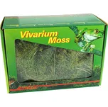 Lucky Reptile Vivarium Moss 150 g
