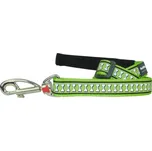 Red Dingo vodítko Bones Rfx 15 mm/1,8 m