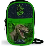 Karton P+P Peněženka na krk Dino