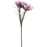 Europalms Větvička magnolie (EVA) 100 mm