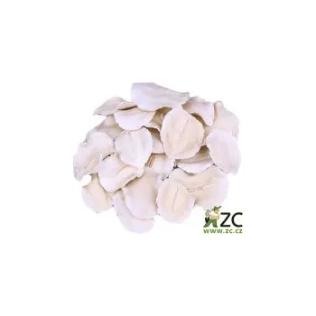 umělá květina Dekorace - Jacaranda Petal bělený 12ks