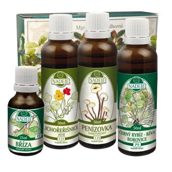 Přírodní produkt Naděje Doplněk z bylin pro zlepšení kvality pokožky 175 ml