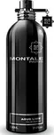 Montale Aoud Lime U EDP 100 ml