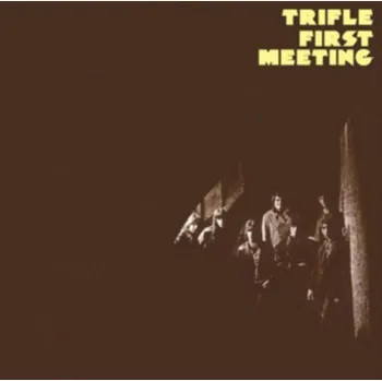 Zahraniční hudba First Meeting - Trifle [LP]