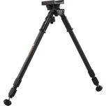 Vanguard Equalizer 2