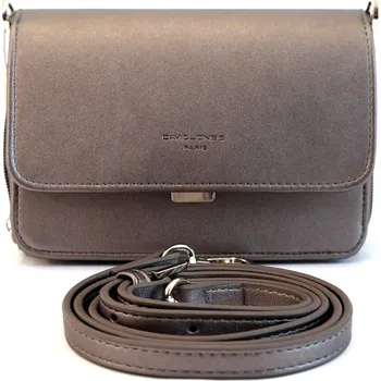 Čtyřoddílová malá pevná stříbrná crossbody kabelka David Jones 5805-2