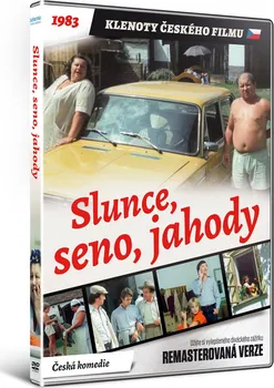 DVD film DVD Slunce, seno, jahody (1984)