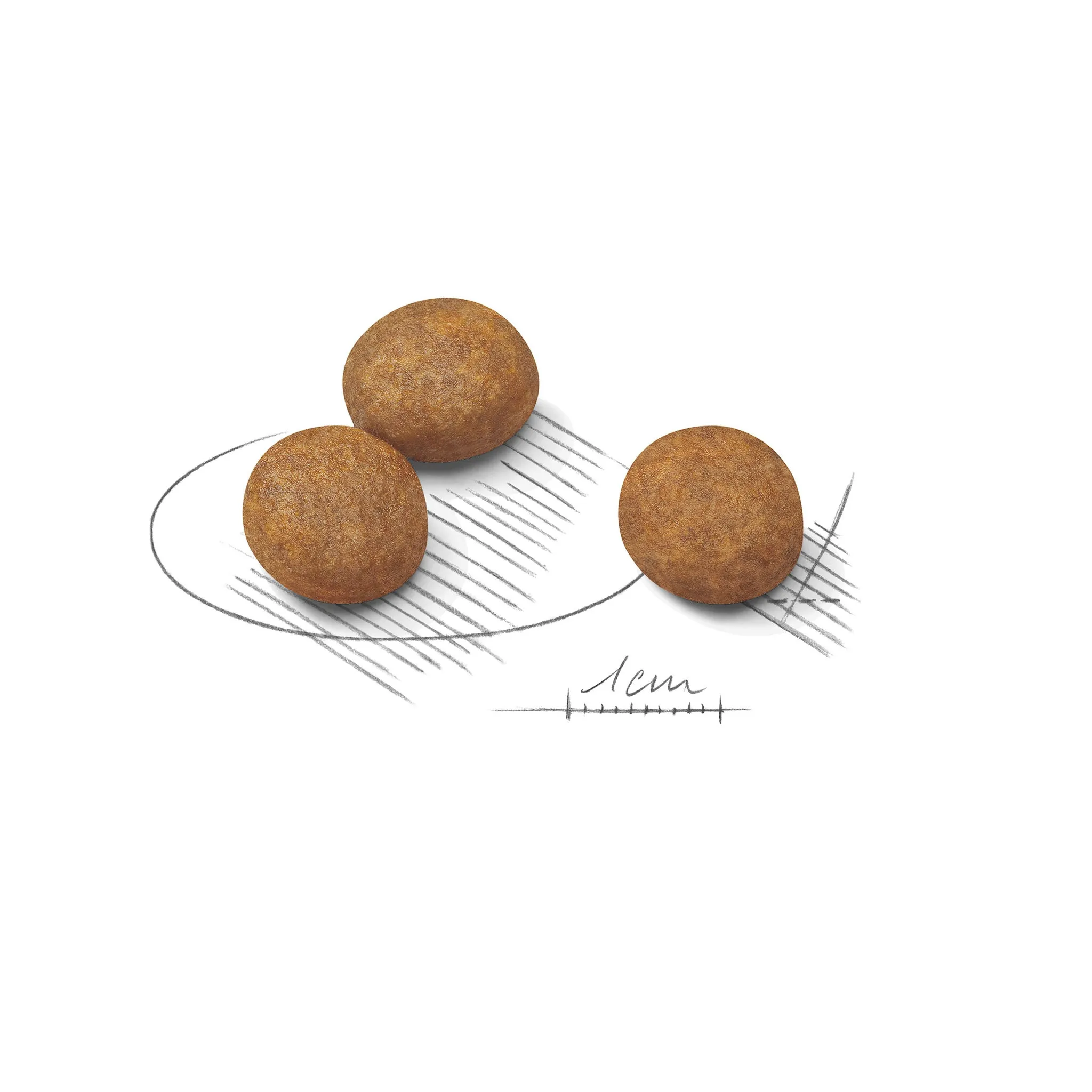 Fotografie 20 - Krmivo pro psa Royal Canin Maxi Puppy Poultry 15 kg