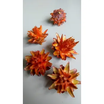 umělá květina Drydec.cz Plumosum loose orange 5ks