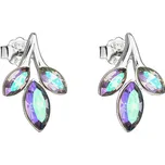 Evolution Group 31266.5