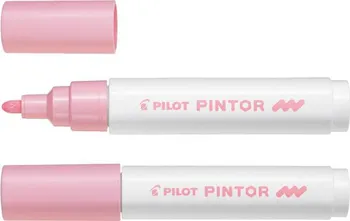 Pilot Pintor Marker Medium