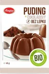 Amylon Bio puding bez lepku 40 g