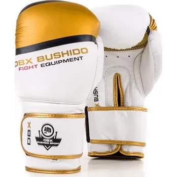 Boxerské rukavice Bushido DBD-B-2v1 10z