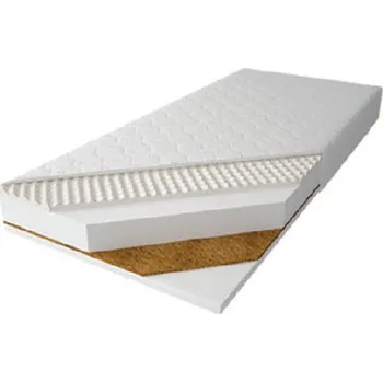 ImportWorld Pěnová matrace Libor 90x200 cm (Potah: Jersey neprošívaný)